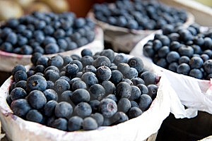 Blueberry Bash Fragrance Oil