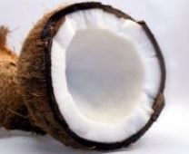 Coconut Fragrance Oil