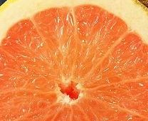 Grapefruit Fragrance Oil