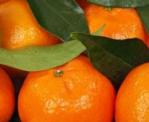 Bergamot & Mandarin Scented Products
